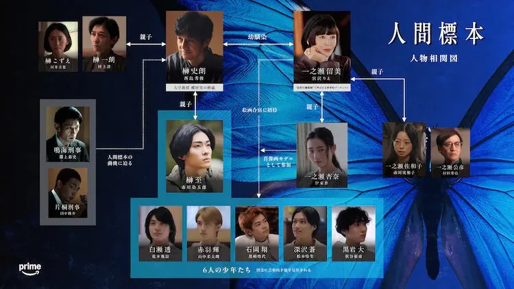 「人間標本」相関図。