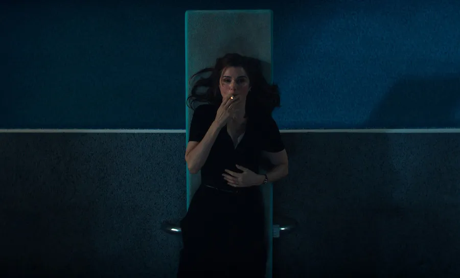 Netflixリミテッド・シリーズ『ウラジミール(原題:VLADIMIR)』